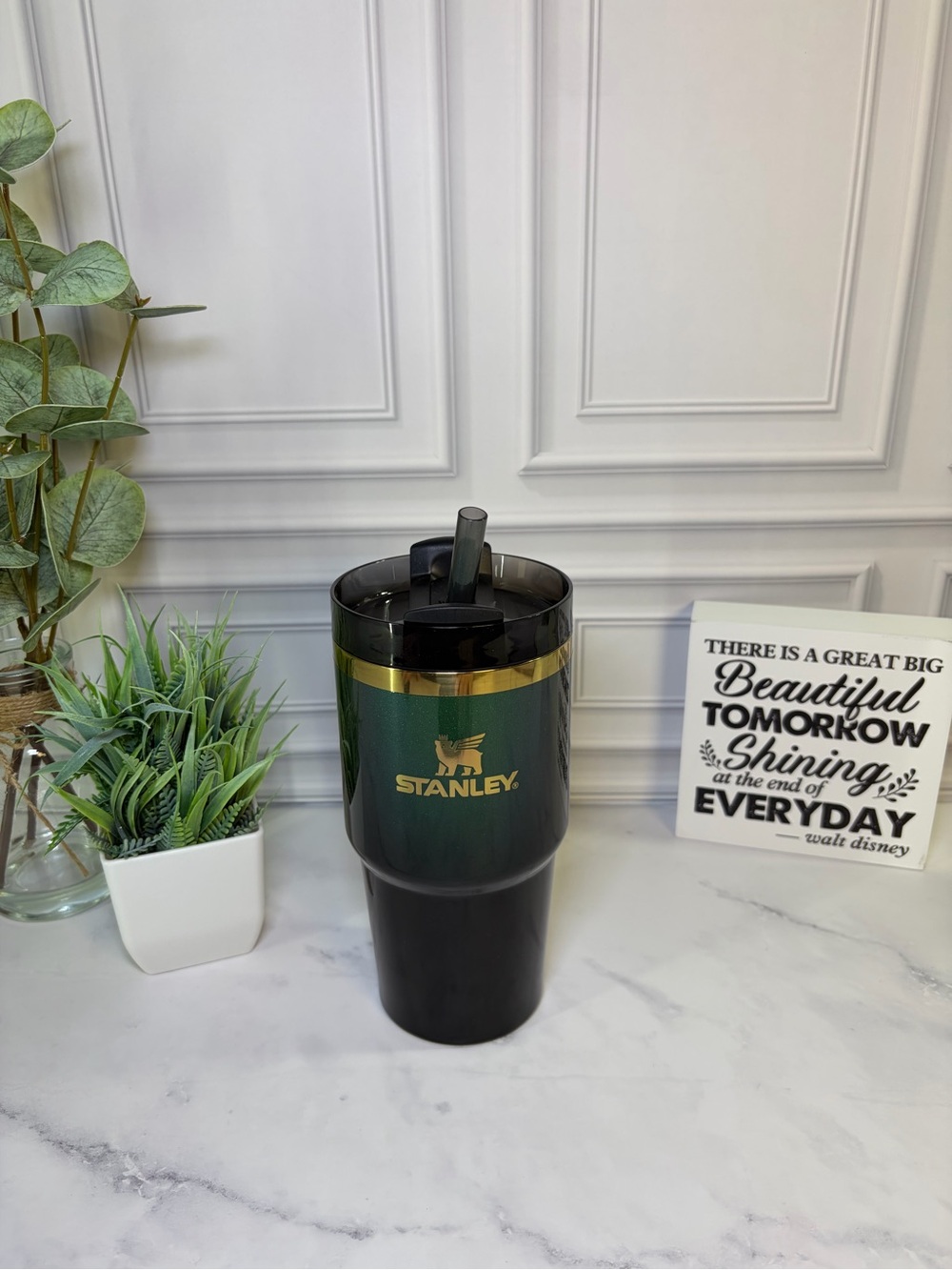 Stanley Wicked Elphaba 20oz EUC